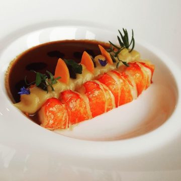 Kreeft Lobster